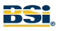 British Standard Institution (BSI)